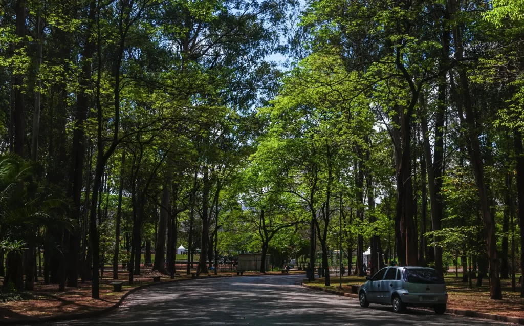 Onde pedalar em São Paulo em 2026: roteiros de bike para os 472 anos da cidade